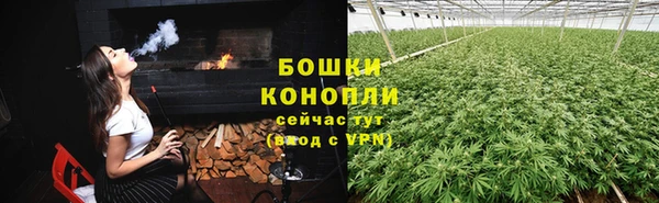 шишки Костерёво
